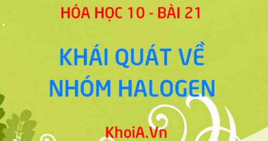 Nhóm Halogen là gì? Cấu tạo phân tử nhóm Halogen và sự biến đổi độ âm điện của nhóm Halogen - Hóa 10 bài 21